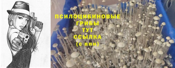 винт Беломорск