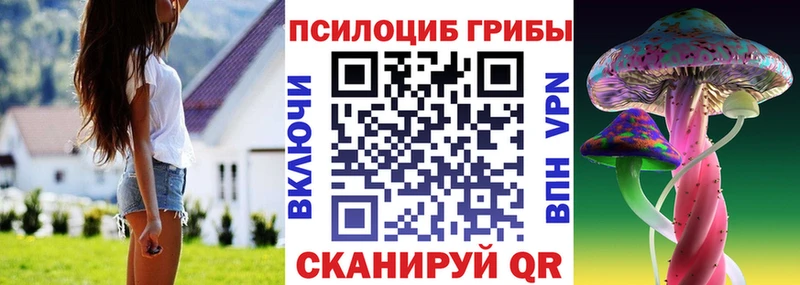 Галлюциногенные грибы Magic Shrooms  где найти наркотики  omg tor  Новоалтайск 